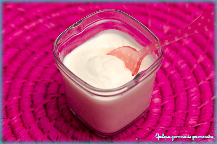 Fabricant de yaourt, machine à yaourt grecque 3 en 1, peut faire